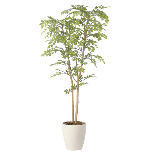 光の楽園 ライトトネリコ1.3 2430A240 アートグリーン フェイクグリーン 人工観葉植物 光触媒