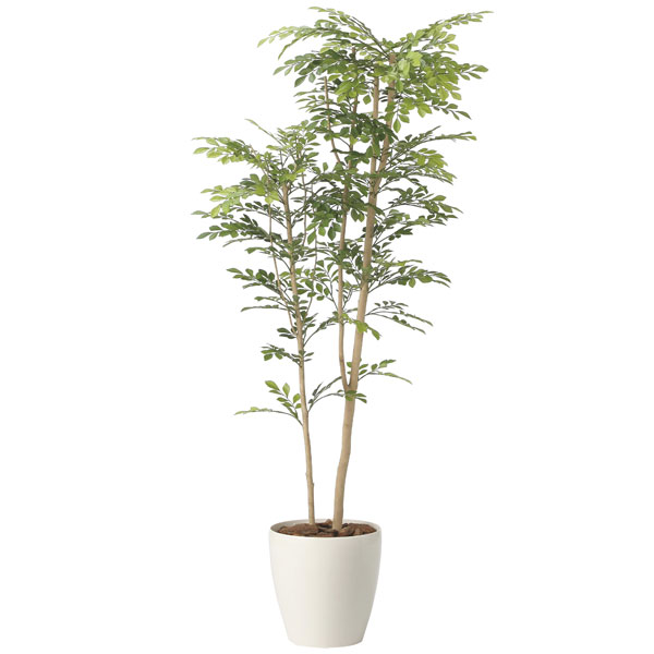 光の楽園 ツートントネリコ1.6 2442A380 アートグリーン フェイクグリーン 人工観葉植物 光触媒