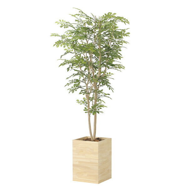 光の楽園 ウッドボックストネリコミックス1.8 2457A620 アートグリーン フェイクグリーン 人工観葉植物..