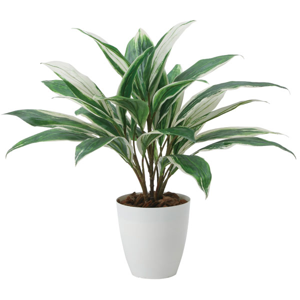 光の楽園 ドラセナ 2459A50 アートグリーン フェイクグリーン 人工観葉植物 光触媒