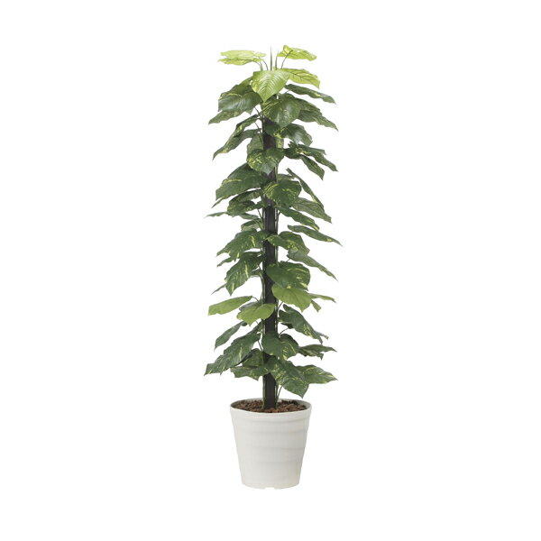 光の楽園 ジャイアントポトス1.8 2576A350 アートグリーン フェイクグリーン 人工観葉植物 光触媒