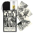 【タロットカード】 【US Games Systems】 【正規販売店】 タロット オブ ザ アビス Tarot of the Abyss タロット 占い