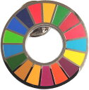 国連本部限定販売 SDGs ピンバッジ 日本未発売 UNDP 1個セット 1