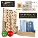 【サムブロックス SumBlox】 遊びながら数字が学べる積み木 知育玩具 日本語ガイド付き (サムブロックス・ミニ・ベーシックセット)