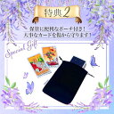 【タロットカード】 【正規販売店】 【Deckstiny】 サクラ スプリング タロット バージョン2（四季シリーズ・春） Sakura Spring Tarot Version 2 3