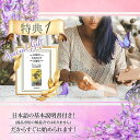 【タロットカード】 【Deckstiny】 【正規販売店】 ランウェイ タロット（第2版） 78pcs Runway Tarot 2nd Edition 占い 数量限定 2