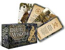 【オラクルカード】 【Rockpool】 【正規販売店】 ドルイッド ウィズダム（ミニ インスピレーションカード） Druid Wisdom 占い