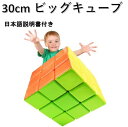 日本語攻略法付き 安心の保証付き ビッグキューブ 30cm 3x3x3 巨大キューブ ステッカーレス ラージキューブ 教育玩具 ルービックキューブ おすすめ