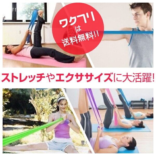 �ȥ졼�˥󥰥��塼�� �������������Х�� �ڥȥ� �襬 ����Х�� �ե��åȥͥ� �롼�ץХ�� ����ʡ��ޥå��� ���ȥ�å� �ȥ졼�˥�