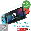 Nintendo Switch ニンテンドースイッチ ブルーライトカット 充電ケーブル付き タイプC 目に優しい 強化ガラスフィルム ブルーライト強化ガラスフィ...