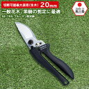 プルーマン剪定鋏 SE-195 五十嵐刃物工業 園芸 ガーデニング 剪定 盆栽 花 はさみ ハサミ 庭 手入れ