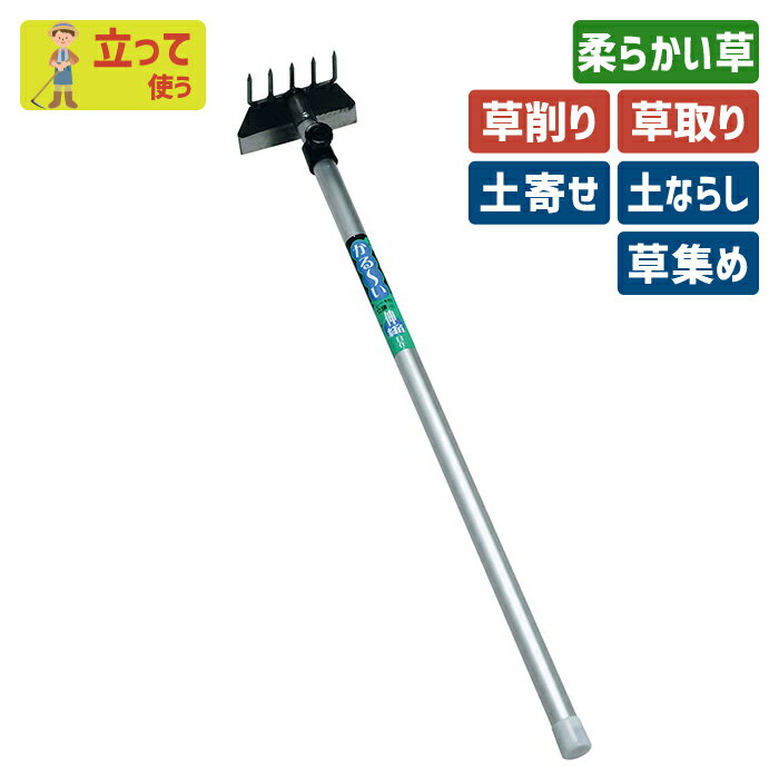 說åסŷԾŹ㤨֡BLACK FRIDAYݥ5ܡץȥ꡼ˡָۢꥪޥդ ̼ 졼Ωʾ ǥ˥ Ωۡ Ω    ڤʤ餷 ٤ 귡 ڵ      Ѷ  ڱ  ʪ ڹ פβǤʤ4,880ߤˤʤޤ