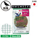 鳥よけネット（大） 2×5m ガーデニング 園芸 農具 農業 工具 道具 金星 キンボシ