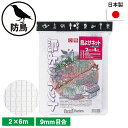 鳥よけネット(ナチュラル) 2×6m ガーデニング 園芸 農具 農業 工具 道具 金星 キンボシ