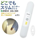 【55%引き】LEDセンサーライト ムサシ RITEX どこ...