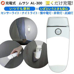 https://thumbnail.image.rakuten.co.jp/@0_mall/wakui-shop/cabinet/new-thumbnail/al-300-000.jpg