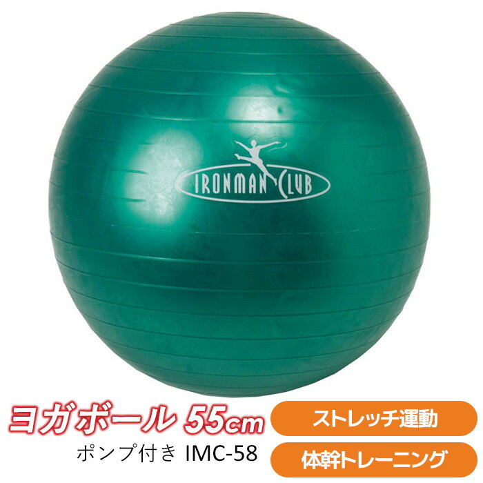  ヨガボール55cm （ポンプ付） IMC-58   カワセ ウチヤマ