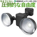 【53％引き】 LEDセンサーライト ムサシ RITEX 1.3W×2灯 フリーアーム式 LED乾電池センサーライト (LED-225) センサーライト led 防犯ライト 電池 人感センサー ライト 屋外 ledライト 照明 セキュリティ用 防犯グッズ