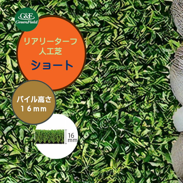 ڿ͹ǡۥꥢ꡼ 硼 2M5M ѥĹ16mm͹  ͹  Ǯ ŵ  ɱ ɥ ý...