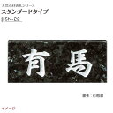 【天然石表札】天然石表札シリーズ スタンダードタイプ SN-22戸建て 天然石 表札 ネームプレート 天然石 サイン 美濃クラフト お求めやすい価格で!【送料無料】