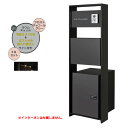 【機能門柱】Raum ラウム 宅配ボックス(前入れ前出し)付き&ライトセット フロストチャコールグレー色戸建て 新築 リフォーム 本体 ポスト 宅配ボックス 表...