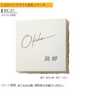 【12VLED 表札】LEDバックライト表札 キャスレディLED内蔵タイプ BX-51戸建て 12V LED led ステンレス表札 ネームプレート サインプレート 美濃クラフト お求めやすい価格で!【送料無料】