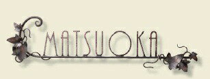 【表札】レザーカット文字 ブロンズメッキ仕上 IR-35サビ 変色 に 強い人気のある 真鍮製のニュープラスアイアンサイン をお求めやすい 価格で！【戸建】【ネームプレート】福彫 【★送料無料】