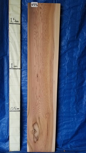 天然杉 無垢材 一枚板 天板 厚4~3.5cm×巾51.5~56cm×長182cm カウンター テーブル 書斎机 陳列棚 DIYに最適 工場直送 送料無料 天然杉 無垢材 一枚板 天板 厚4~3.5cm×巾51.5~56cm×長182cm カウンター テーブル 書斎机 陳列棚 DIYに最適 工場直送 送料無料
