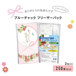 【送料無料】 ブルーチャック フリーザー パック 2枚入り 250個 セット 感謝 日用品 キッチン 台所 冷蔵 冷凍 食料 保存袋 チャック付き ポリエステル 雑貨 プレゼント ギフト 贈り物 ギフト 粗品 ノベルティ まとめ買い