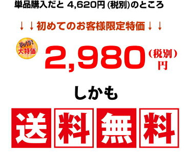 【送料無料】初回限定 18種から9品選べるお試しセット ギフト 惣菜 お惣菜 ギフト セット 詰め合わせ 手作り 無添加 おかず 煮物 取り寄せ お弁当 冷凍 レトルト 贈り物 食品 お試し お中元