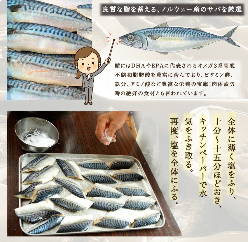 焼鯖 ギフト 惣菜 お惣菜 お試し セット 冷凍食品 お弁当 おかず 詰め合わせ 食品 福袋 冷凍惣菜 お歳暮 冷凍 業務用 おつまみ 煮物 和風 洋風 中華 肉 魚 野菜 レトルト