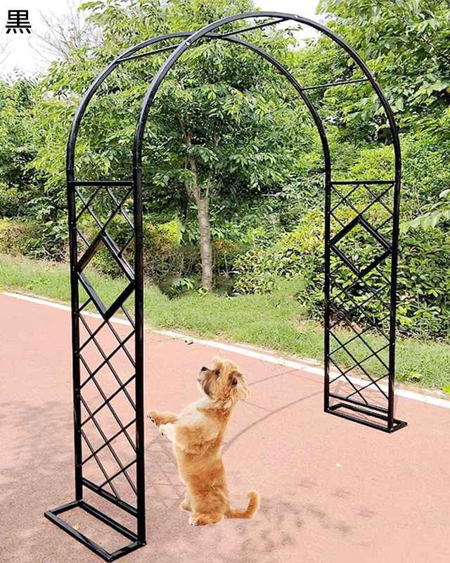 ガーデンアーチ ローズアーチ ガーデニング、組立簡単 トレリス ローズアーチ 大きい 錆びないバラアー..