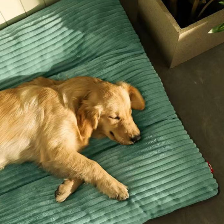 ふわふ 犬 ペットクッション いぬ 犬ベッド ソファー ペットマット 犬用クッション 大型犬 ペットベッド 洗える ネコベッド ねこ