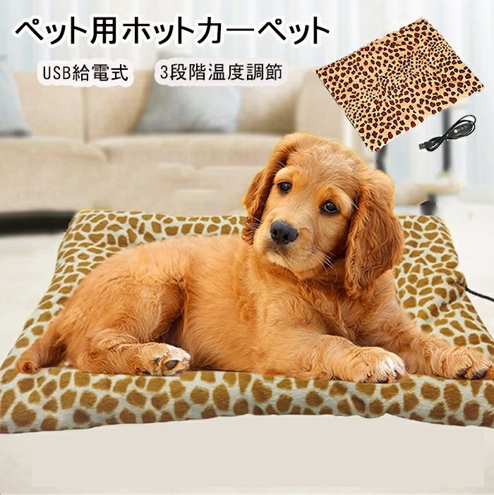 ڥåȥѥå ɥå ҥ祦 ڥåȥå  ڥåȥ٥å USBż ѥͥҡ ڥåȥҡ ۥåȥڥå