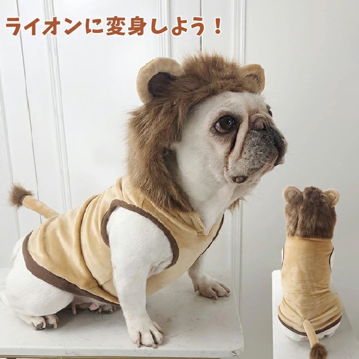 猫変身ペット帽子被り物ハロウィンラ...