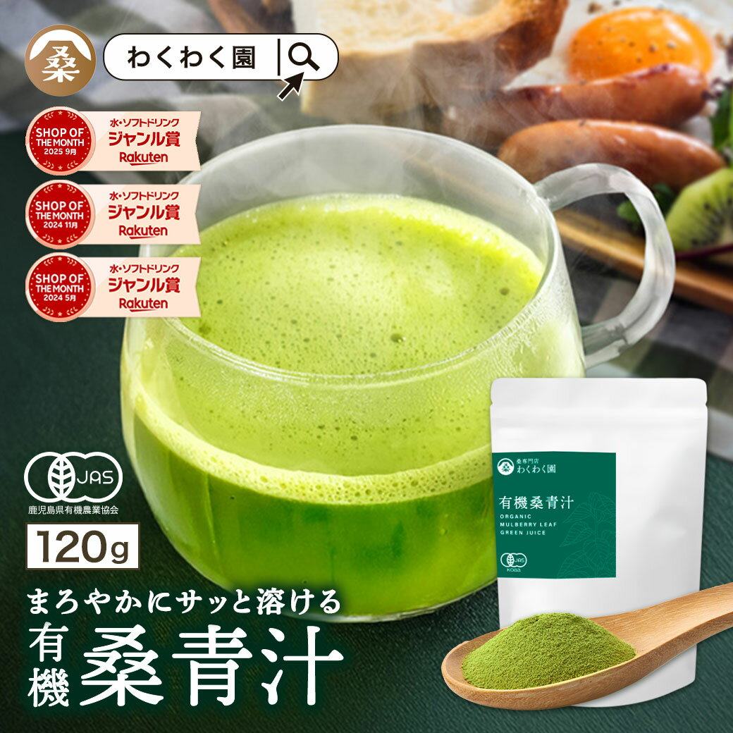 【クーポンで2,640円】有機 ( 桑 青汁 120g ) 桑抹茶 抹茶 わくわく園 送料無料 桑の葉茶 桑茶 くわ茶 桑の葉青汁 粉末 国産 オーガニック 有機JAS 農薬不使用 無添加 純粋桑青汁のサムネイル
