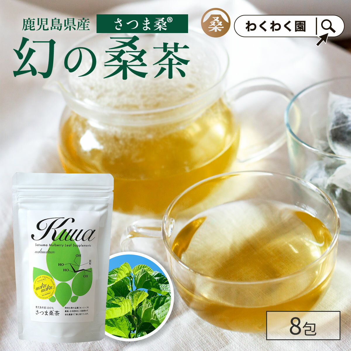 お試し 茶 ( さつま 桑茶 8包 )【 初回限定 】ティーパック 国産 お茶 ティーバッグ スーパーフード 糖化 糖質 ダイエット ミネラル 高品質 桑 桑の葉 桑茶 くわ茶 桑の葉青汁 桑の葉茶 送料無料のサムネイル