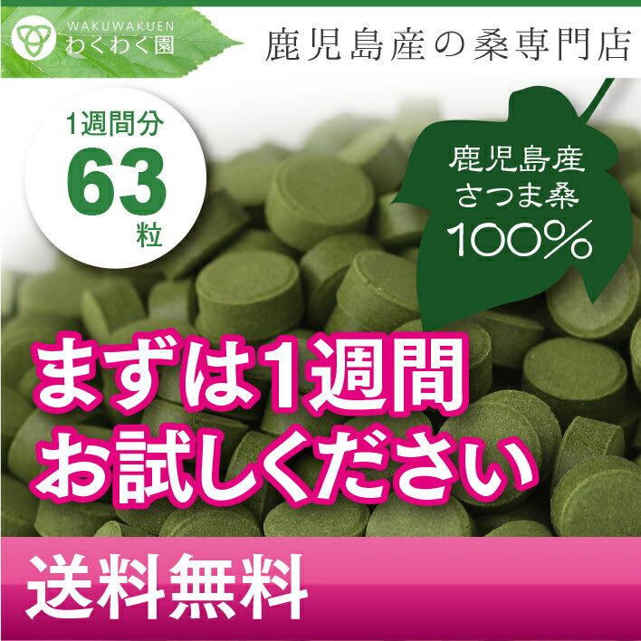 【桑つぶパワー！！1週間63粒お試しサイズ】糖質が気になる！太りにくい食習慣を心がけたい！ダイエットの強い味方　【送料無料】【原料国産】【日本製】【無添加】