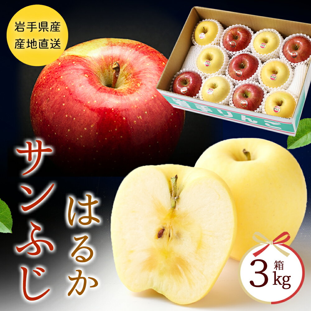 産地直送 りんご ギフト 岩手 サンふじ はるか 3kg (9-13玉) 果物 ギフト 食べ比べ 詰め合わせ 蜜 ふじりんご サンふじ 秀品 贈り物 送料無料 贈答 ギフト 林檎 リンゴ アップル 果物 無袋栽培のサムネイル