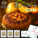 お中元 ハンバーグ お中元 夏ギフト 御中元 プチギフト 冷凍ハンバーグ 150g 3個 450g 小分け 国産 岩手 生ハンバーグ 惣菜 おかず 黒豚ハンバーグ 出産内祝い 結婚祝い 内祝い お返し お中元肉 御中元ハンバーグ 食品 惣菜 お中元ギフト食べ物 お中元ハンバーグ