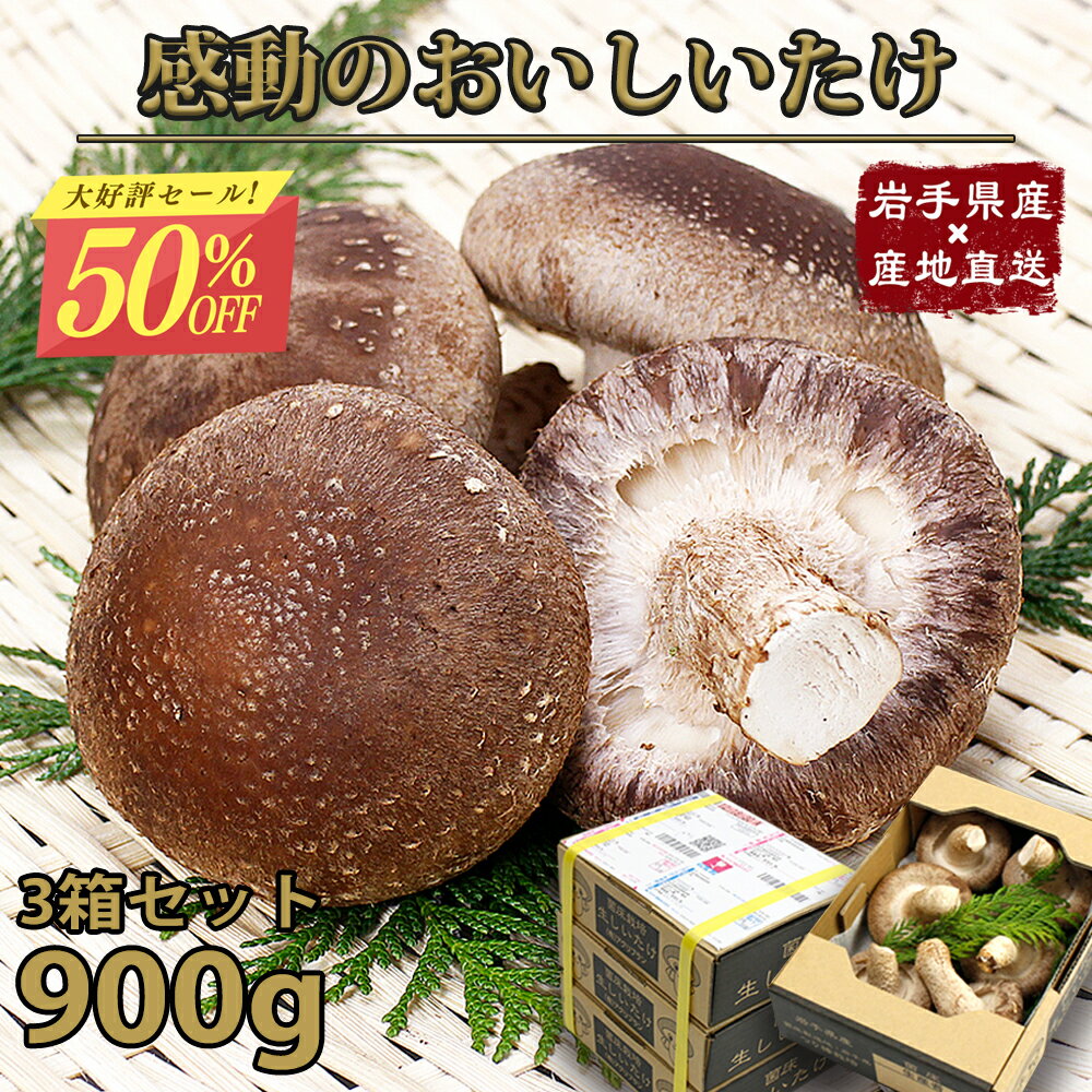 【20日20時から50%OFF 秋祭りタイムセール！】 上級 しいたけ 産地直送 岩手県産 生椎茸 900g 乾燥しいたけ付き 無農薬 特許取得栽培 A級品 産直 農家直送 送料無料 人気 売れ筋 国産 東北 岩手 盛岡 純国産 キノコ シイタケ 椎茸 お得セット ギフト 贈答 岩手のサムネイル