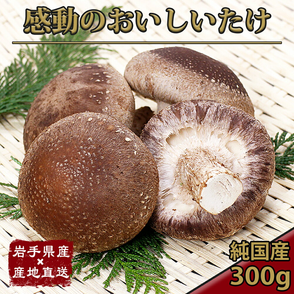 おいしいたけ 上級 しいたけ 岩手県産 産地直送 送料無料 生椎茸 300g 乾燥しいたけ特典付き 無農薬 特許取得栽培 A級品 産直 農家直送 送料無料 売れ筋 国産 東北 岩手 純国産 キノコ シイタケ 椎茸 干ししいたけ