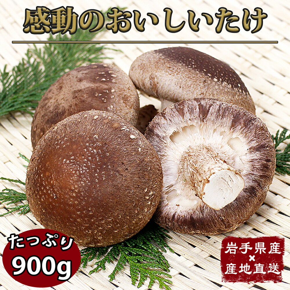 【スーパーSALE 50％OFF】 上級 しいたけ 産地直送 岩手県産 生椎茸 900g 乾燥しいたけ付き 無農薬 特..