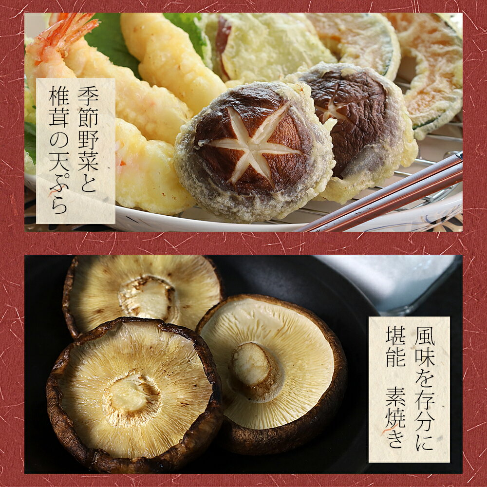 期間限定特典付き【しいたけ産地直送】【岩手県産上級生椎茸600g10-12本】乾燥しいたけ付き無農薬特許取得栽培A級品産直農家直送送料無料人気売れ筋国産東北岩手盛岡純国産きのこキノコシイタケ椎茸干ししいたけお得セット低カロリー栄養満点
