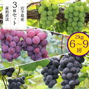 【 予約受付中 】ぶどう 詰め合わせ ギフト 6房〜9房 岩手県産 産地直送 2kg キャンベル ナイアガラ レッドナイアガラ 敬老の日 プレゼント 写真入り ...
