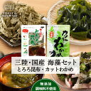 1000円ポッキリ 送料無料 とろろ昆布 乾燥カットわかめ セット 三陸 わかめ 無添加 昆布 国産 乾物 ネコポス メール便 送料無料 岩手県 グルメ食品 和...