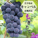 【 予約受付中 キャンベル ぶどう 】 ぶどう ギフト キャンベル ぶどう 岩手県産 産地直送 旬 ぶどう キャンベル 2kg (6房〜) プレゼント 写真入り...