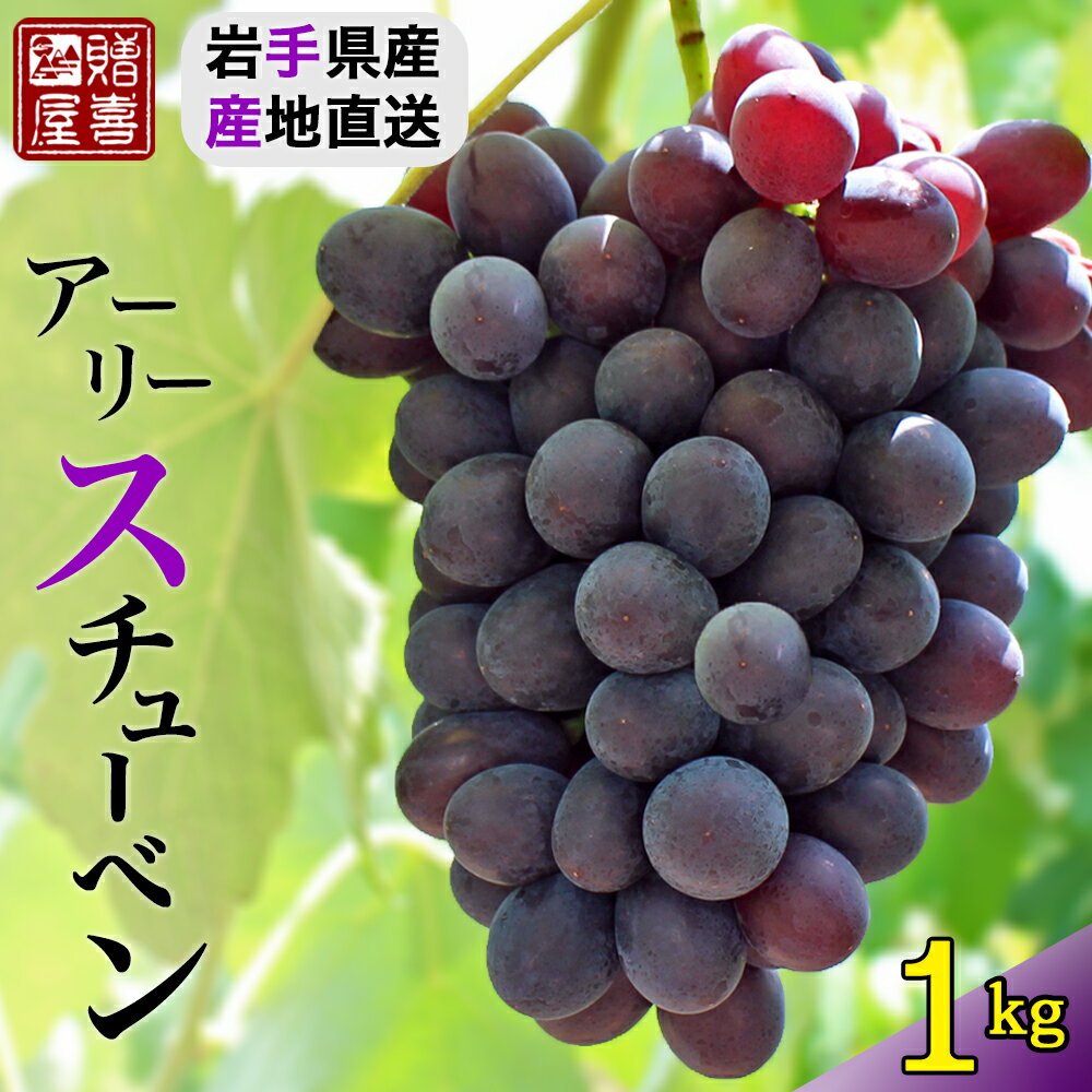 ぶどう 予約受付中 ぶどう 農家 直送 岩手県産 ぶどう 産地直送 1kg 3〜4房 2023年【8月17日から発送 予約】アーリースチューベン スチューベン バッファロー 種無し ぶどう クール便 送料無料 産直 産地直送 農家直送 秀品 贈り物 贈答 ギフト 黒葡萄 葡萄 ブドウ もぎたて