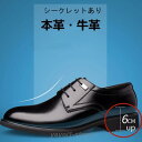 ゴルフシューズ メンズ メッシュシューズ 蒸さない サンダル パンプス 夏 メッシュ オフィス サラリーマン 紳士靴 通勤 軽量 レザー 運転 涼しい 革靴
