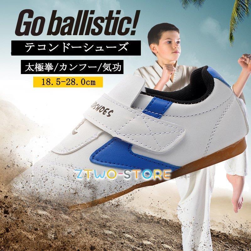 テコンドー訓練靴 テコンドー靴 太極拳シューズ カンフー テコンドーシューズ 気功 中国武術 テコンド..